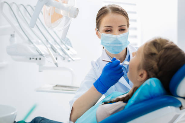  Schler Park, IL Holistic Dental Services Pros